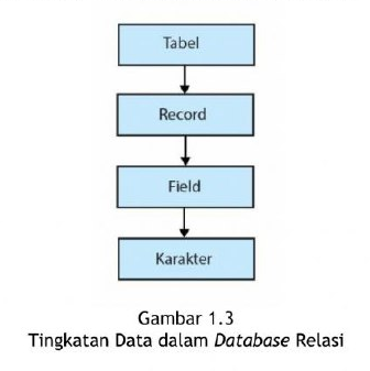 Gambar 1.3 Tingkatan Data dalam Database Relasi